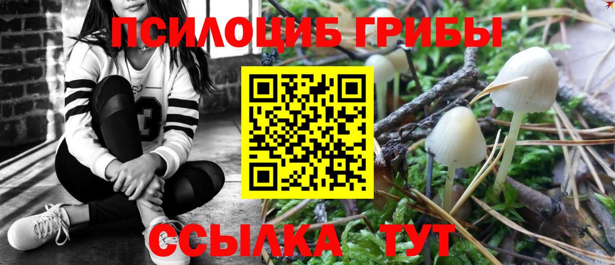 Псилоцибиновые грибы мухоморы Кохма